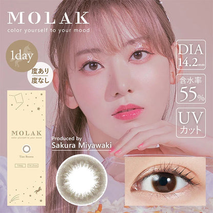 MOLAK 1DAY TINT BROWN(1BOX 10SHEETS) MAIN IMAGE