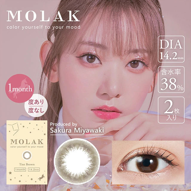 MOLAK 1MONTH TINT BROWN(1BOX 2SHEETS) MAIN IMAGE