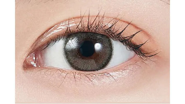 MOLAK 1DAY DAZZLE GRAY(1BOX 10SHEETS) 0
