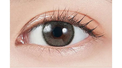MOLAK 1DAY DAZZLE GRAY(1BOX 10SHEETS) 0