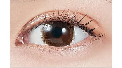 MOLAK 1DAY TINT BROWN(1BOX 10SHEETS) 0