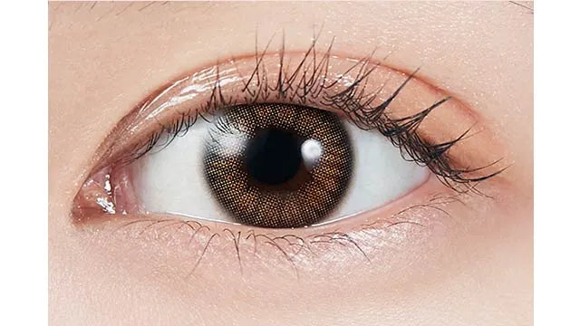 MOLAK 1MONTH CORAL BROWN(1BOX 2SHEETS) 0