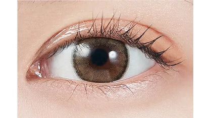 MOLAK 1MONTH DAZZLE BEIGE(1BOX 2SHEETS) 0