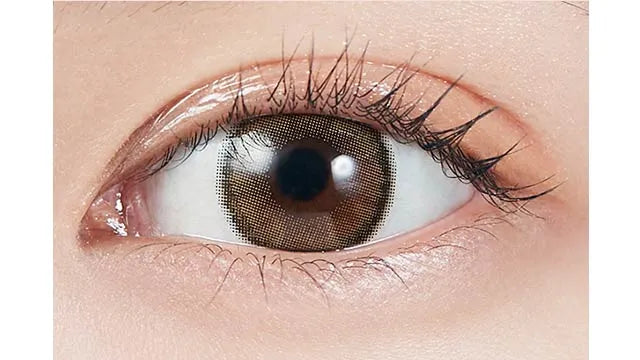 MOLAK 1MONTH DAZZLE BEIGE(1BOX 2SHEETS) 0