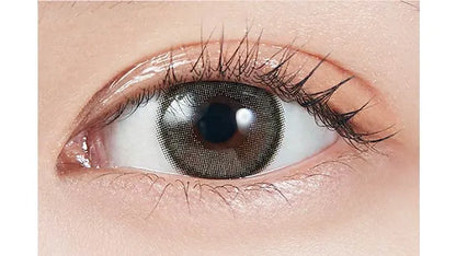 MOLAK 1MONTH DAZZLE GRAY(1BOX 2SHEETS) 0