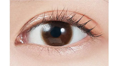 MOLAK 1MONTH TINT BROWN(1BOX 2SHEETS) 0
