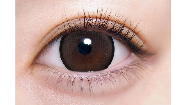 MOTECON ULTRA MONTHLY CHORISOU RING BROWN(1BOX 2SHEETS) 0
