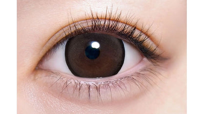 MOTECON ULTRA MONTHLY CHORISOU RING BROWN(1BOX 2SHEETS) 0