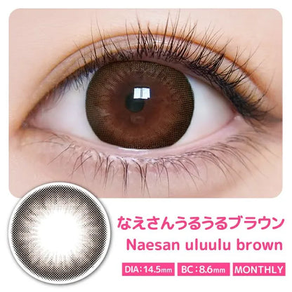 ULULUMO BY MOTECON 1MONTH NAESANURURU BROWN(1BOX 2SHEETS) 0