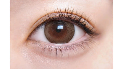 MOTECON ULTRA 1DAY CHOMORE RING BEIGE(1BOX 10SHEETS) 0