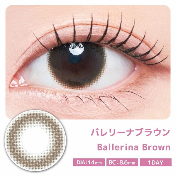 MEVILAGE 1DAY BALLERINA BROWN(1BOX 10SHEETS) MAIN IMAGE