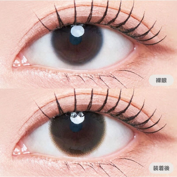 MEVILAGE 1DAY BALLERINA BROWN(1BOX 10SHEETS) 0
