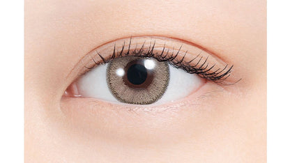 Ns COLLECTION 1DAY TENPURA(1BOX 10SHEETS) 0