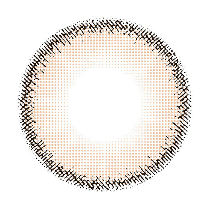 Ns COLLECTION 1DAY TENPURA(1BOX 10SHEETS) 1