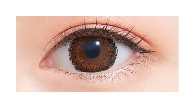 NEOSIGHT 1DAY CIEL UV CIEL BROWN 1DAY(1BOX 5SHEETS) 0