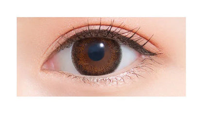 NEOSIGHT 1DAY CIEL UV CIEL BROWN 1DAY(1BOX 5SHEETS) 0