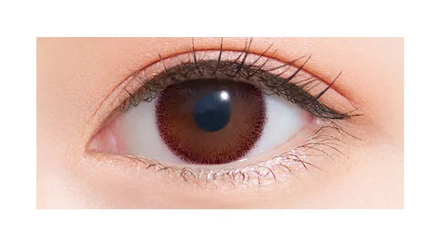 NEOSIGHT 1DAY RING UV MAUVE BROWN(1BOX 30SHEETS) 0