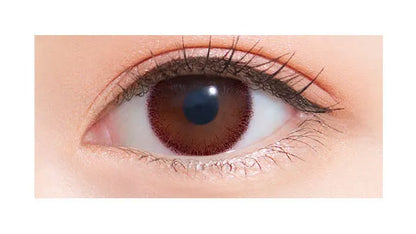 NEOSIGHT 1DAY RING UV MAUVE BROWN(1BOX 30SHEETS) 0