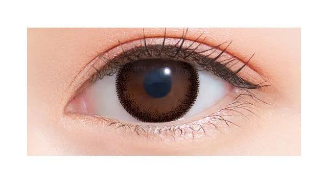 NEOSIGHT 1DAY RING UV DARK BROWN(1BOX 5SHEETS) 0