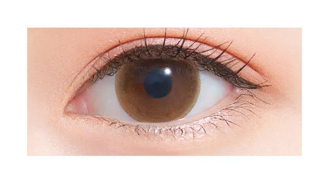 NEOSIGHT 1DAY RING UV LIGHT BROWN(1BOX 5SHEETS) 0