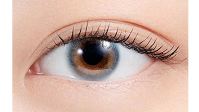 Ns COLLECTION 1DAY CIDER(1BOX 10SHEETS) 0