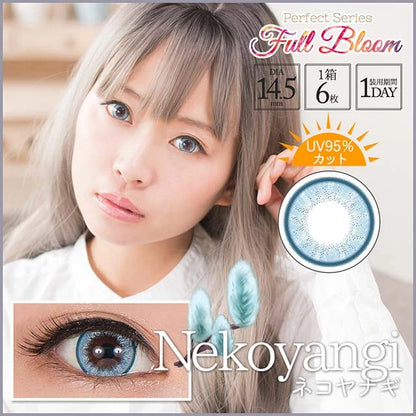 PERFECT SERIES FULL BLOOM 1DAY NEKOYANAGI(1BOX 6SHEETS) MAIN IMAGE