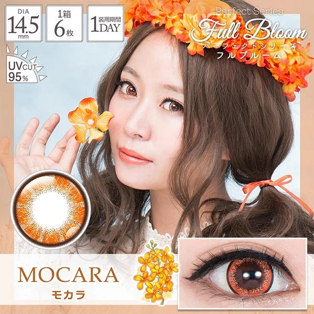 PERFECT SERIES FULL BLOOM 1DAY MOCARA(1BOX 6SHEETS) MAIN IMAGE