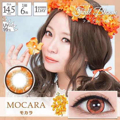 PERFECT SERIES FULL BLOOM 1DAY MOCARA(1BOX 6SHEETS) MAIN IMAGE