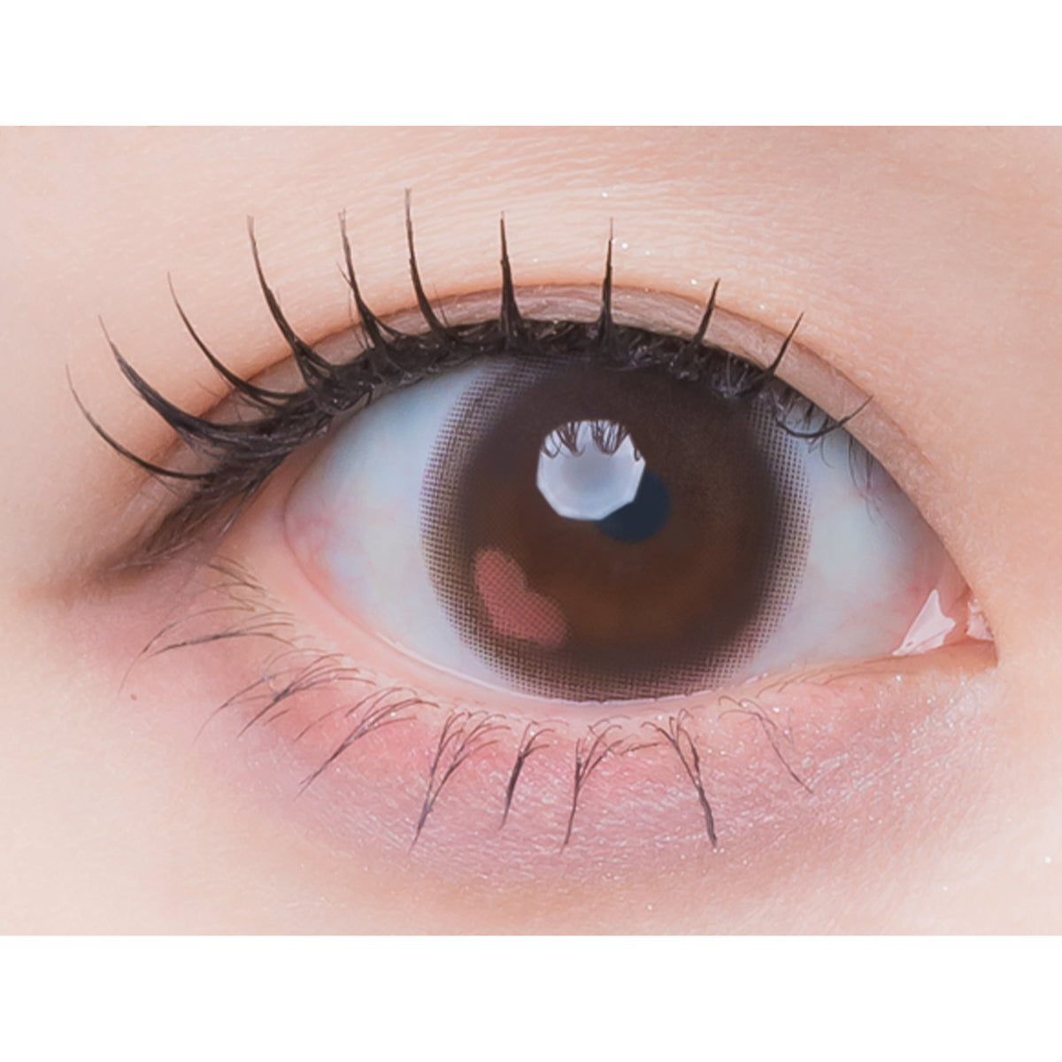 PIUM BEAUTY 1DAY CHURURUN BROWN(1BOX 10SHEETS) 0