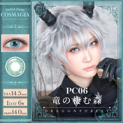 PERFECT SERIES COSMAGIA 1DAY PC06 DRAGON FOREST(1BOX 6SHEETS) MAIN IMAGE