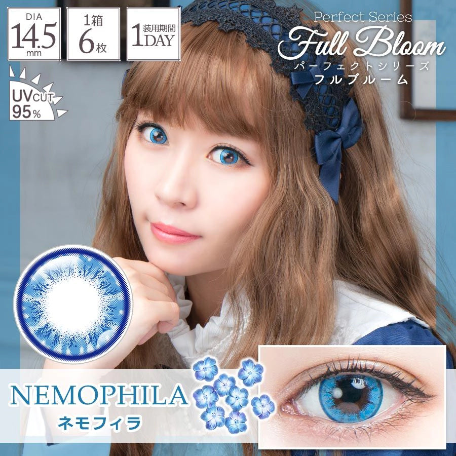 PERFECT SERIES FULL BLOOM 1DAY NEMOPHILA(1BOX 6SHEETS) MAIN IMAGE