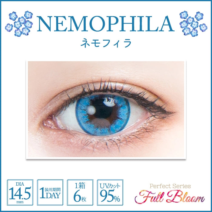 PERFECT SERIES FULL BLOOM 1DAY NEMOPHILA(1BOX 6SHEETS) 0