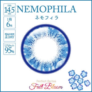 PERFECT SERIES FULL BLOOM 1DAY NEMOPHILA(1BOX 6SHEETS) 1