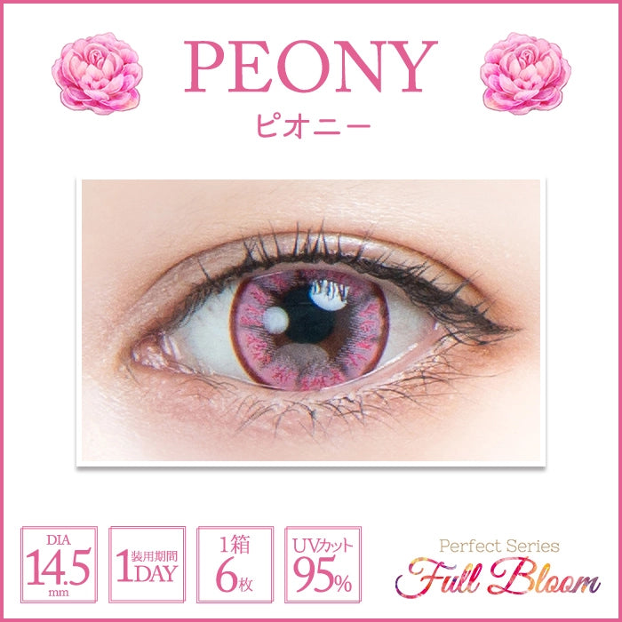 PERFECT SERIES FULL BLOOM 1DAY PEONY(1BOX 6SHEETS) 0