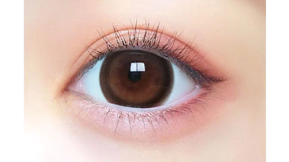 PRIMORE 1DAY PRI DOLLY BROWN(1BOX 10SHEETS) 0