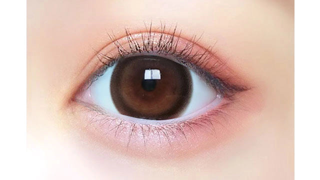 PRIMORE 1DAY PRI DOLLY BROWN(1BOX 10SHEETS) 0