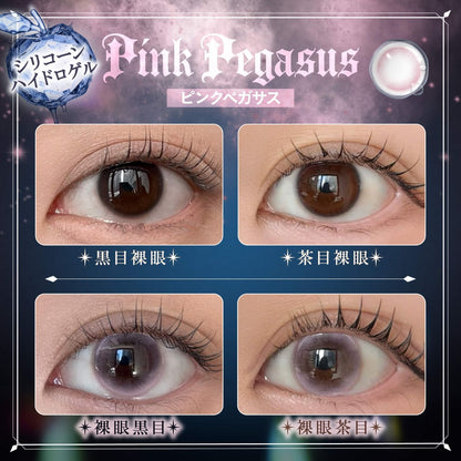 PHANTOM EDEN 1DAY PINK PEGASUS(1BOX 10SHEETS) 0