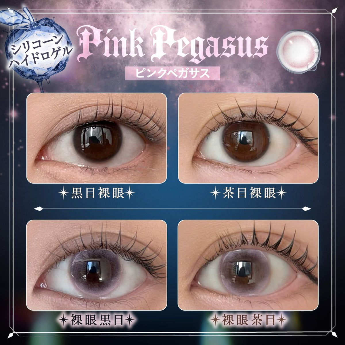 PHANTOM EDEN 1DAY PINK PEGASUS(1BOX 10SHEETS) 0