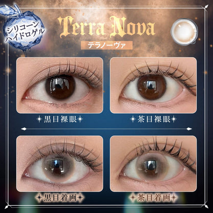 PHANTOM EDEN 1DAY TERRA NOVA(1BOX 10SHEETS) 0