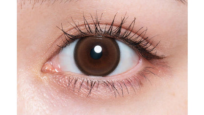 QUPRIE 1DAY BEBE BRUN(1BOX 10SHEETS) 0