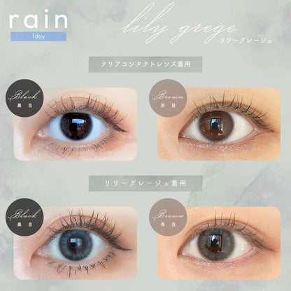 RAIN 1DAY LILY GREAGE(1BOX 10SHEETS) 0