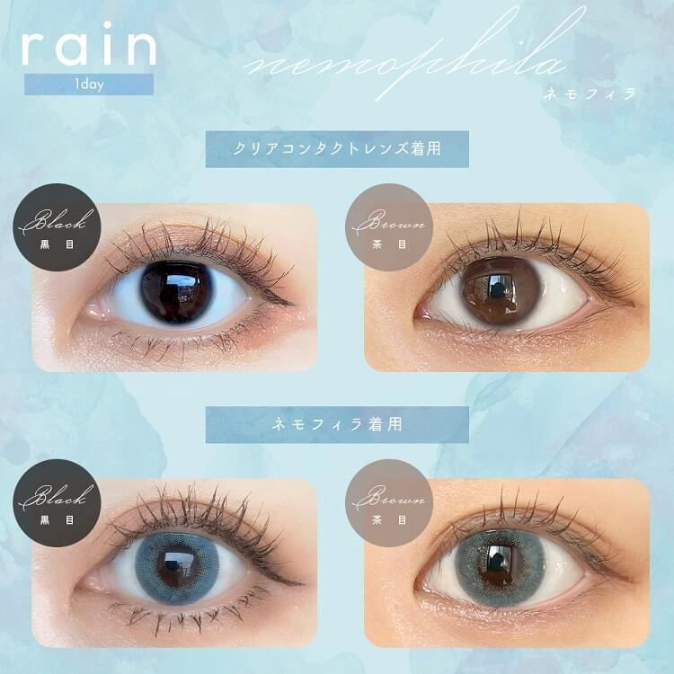 RAIN 1DAY NEMOPHILA(1BOX 10SHEETS) 0