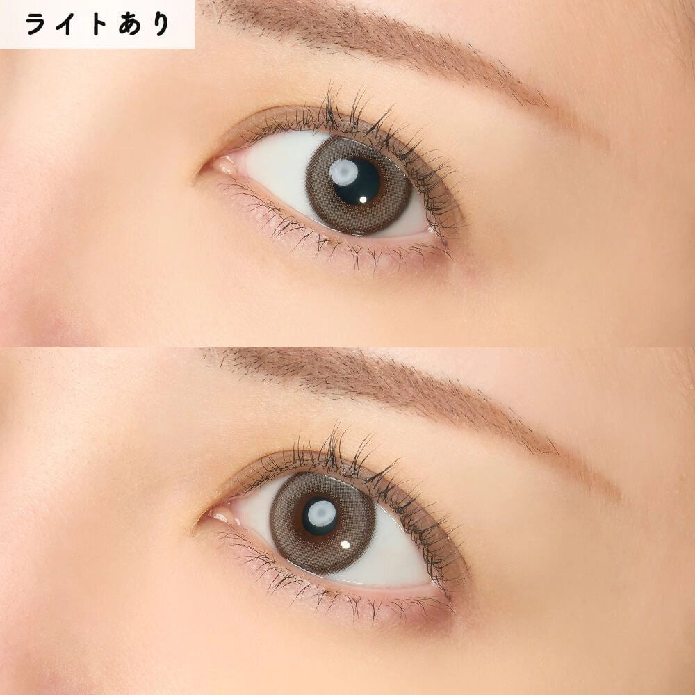 RAIN 1DAY SIBERIAN GRAY(1BOX 10SHEETS) 0