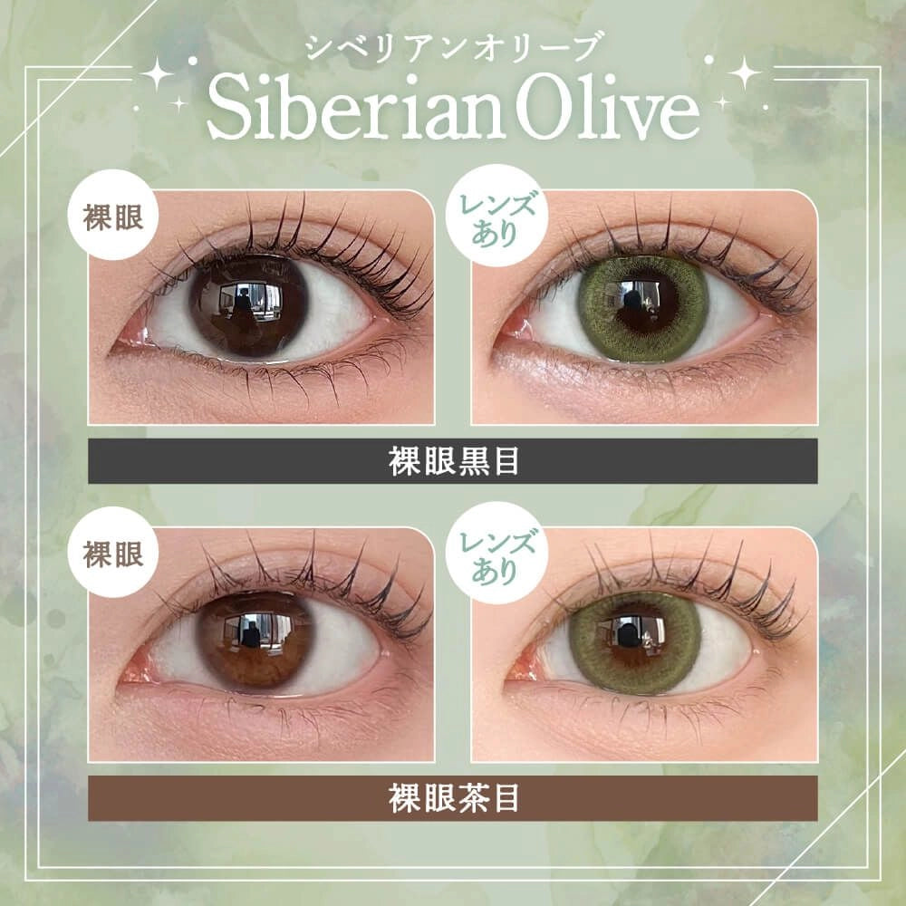 RAIN 1DAY SIBERIAN OLIVE(1BOX 10SHEETS) 0