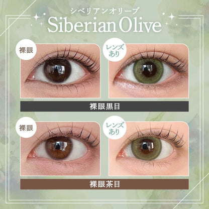 RAIN 1DAY SIBERIAN OLIVE(1BOX 10SHEETS) 0