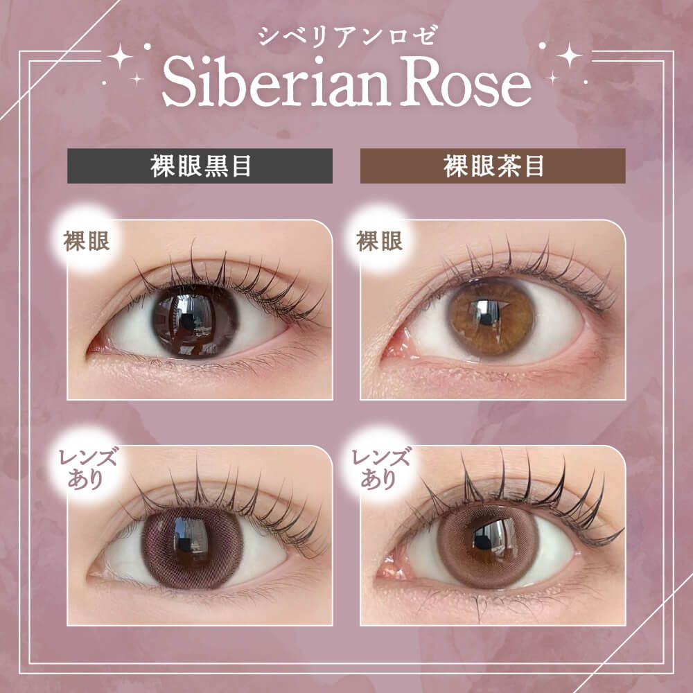 RAIN 1DAY SIBERIAN ROSE(1BOX 10SHEETS) 0