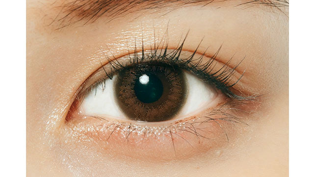 RAMURIE 1DAY CHERIE BROWN(1BOX 6SHEETS) 0