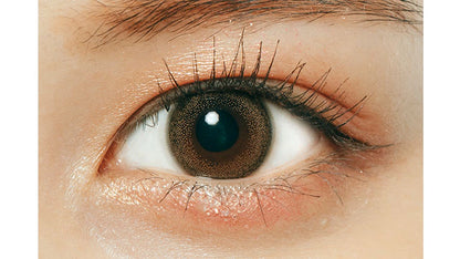 RAMURIE 1DAY CARAMEL BROWN(1BOX 6SHEETS) 0