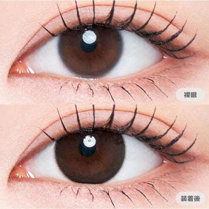 RADIRIS 1DAY ELEGANT GLOW(1BOX 10SHEETS) 0