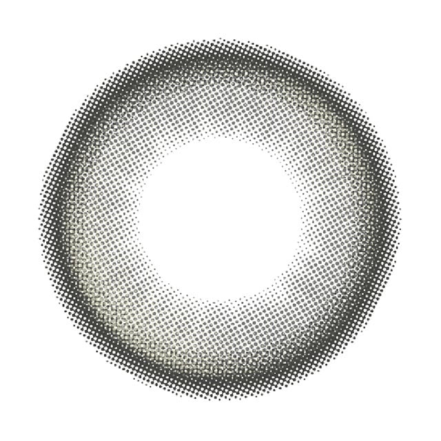 RADIRIS 1DAY LUCENT GRAY(1BOX 10SHEETS) 1